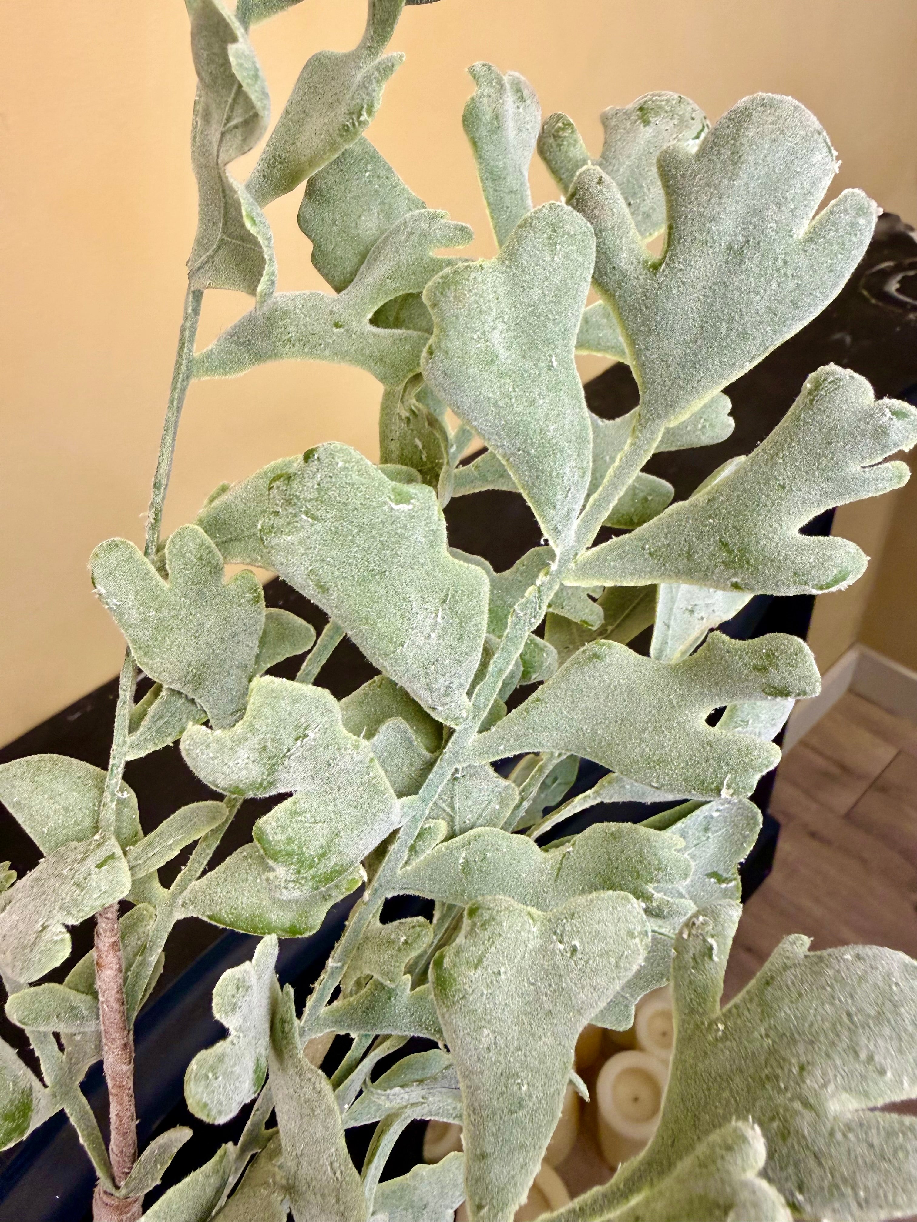 Frosted Leaf Stem: 28" Snow-Dusted Winter Greenery