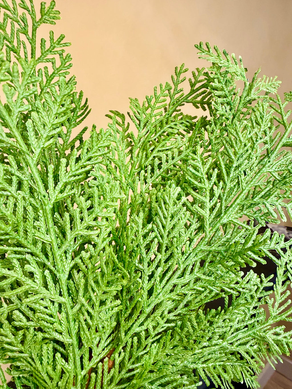 Faux Incense Cedar Branch – Golden-Tipped Soft-Touch Evergreen Stem for Holiday Arrangements, Mantels & Seasonal Décor by JD Home + Holiday