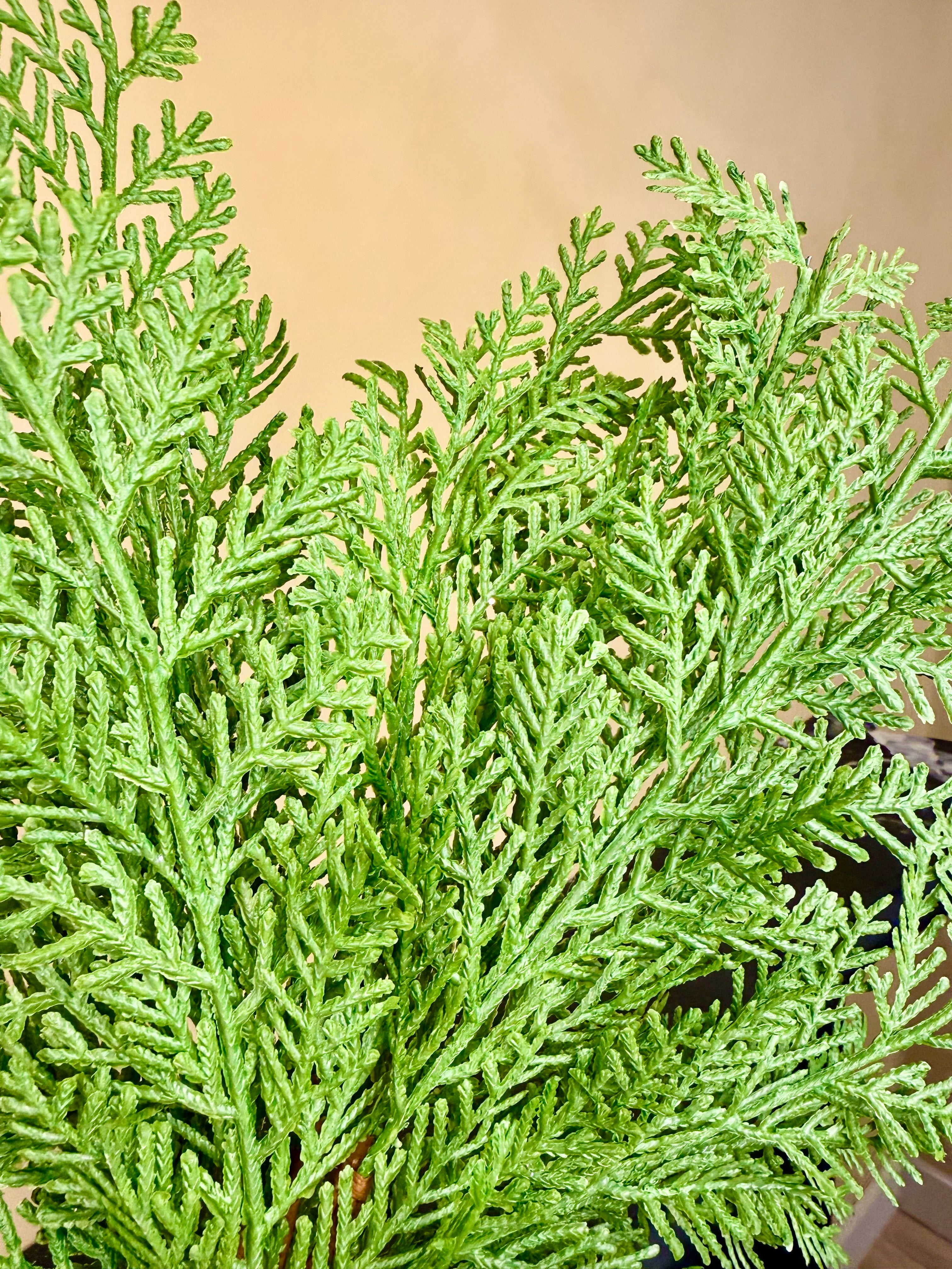 Faux Incense Cedar Branch – Golden-Tipped Soft-Touch Evergreen Stem for Holiday Arrangements, Mantels & Seasonal Décor by JD Home + Holiday