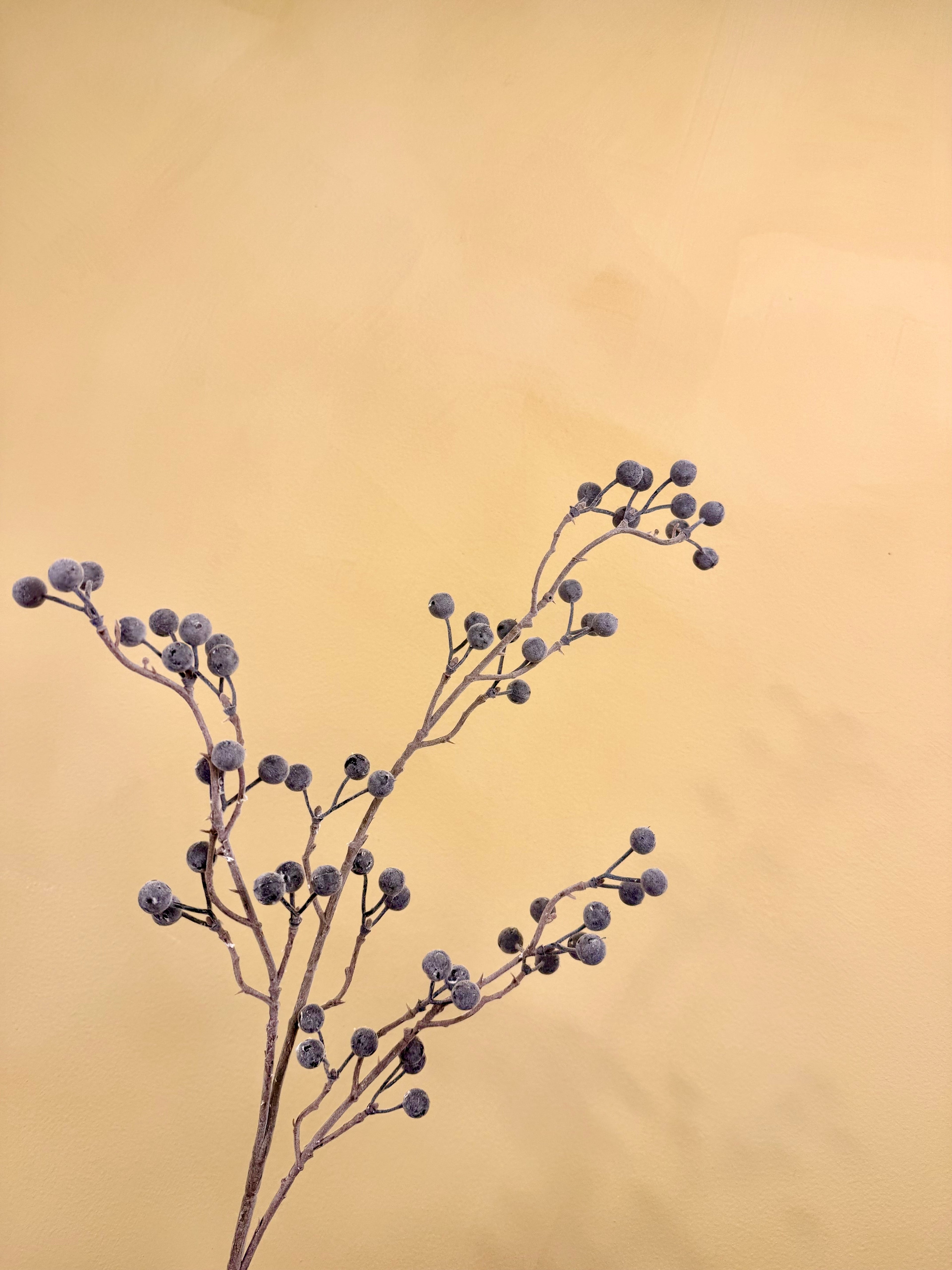 Faux Frosted Berry Stem – Winter White Holiday Branch for Arrangements & Styling | Snow-Dusted Designer Decor by JD Home + Holiday