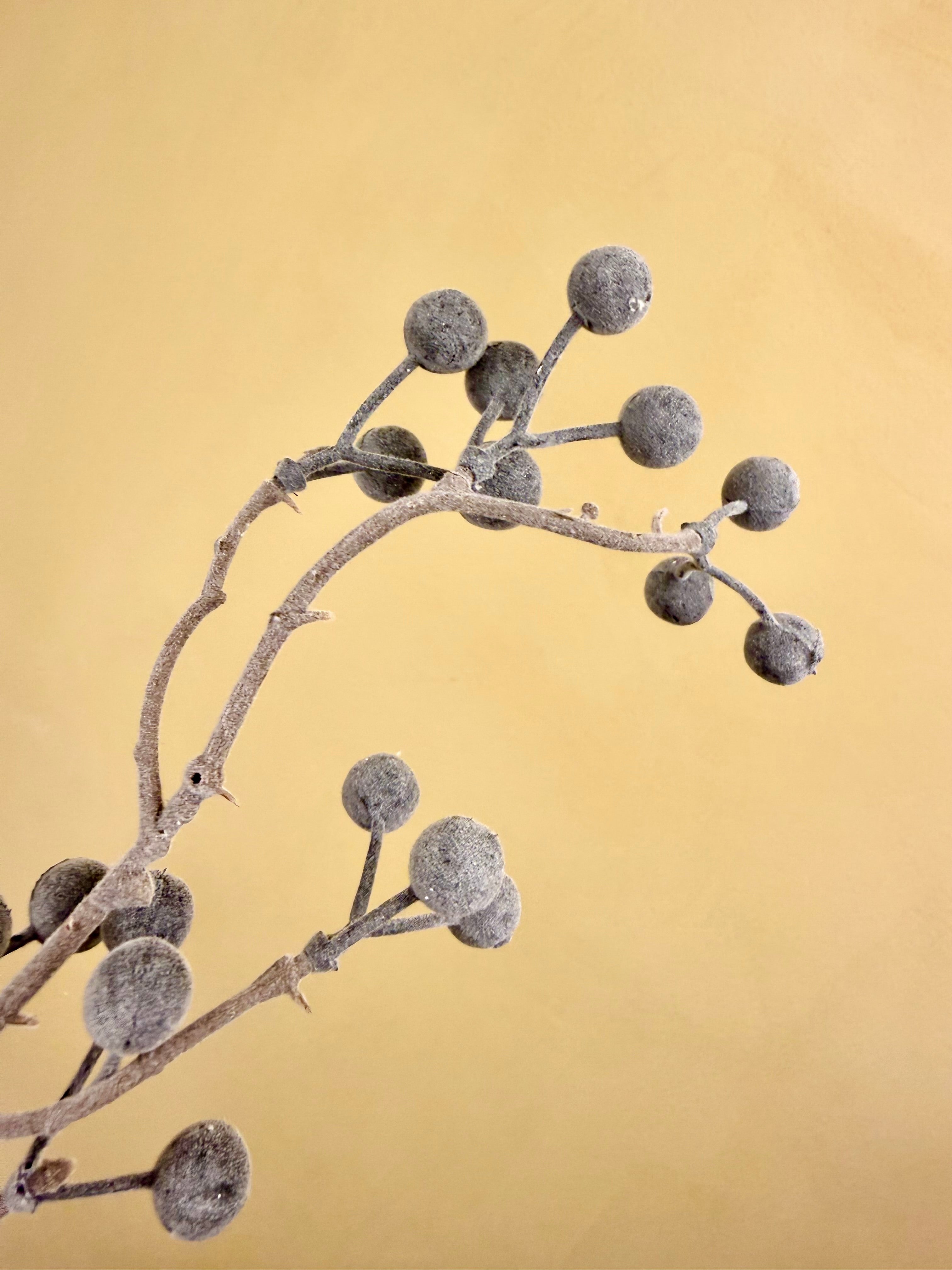 Faux Frosted Berry Stem – Winter White Holiday Branch for Arrangements & Styling | Snow-Dusted Designer Decor by JD Home + Holiday